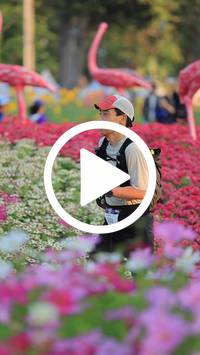 BIB:  <button type="button" onclick="openModal(27583017)" class="btn btn-primary btn-sm float-right" data-toggle="modal" data-target=".modal-high-quality">
                <i class="fa fa-download"></i> Download
                </button>